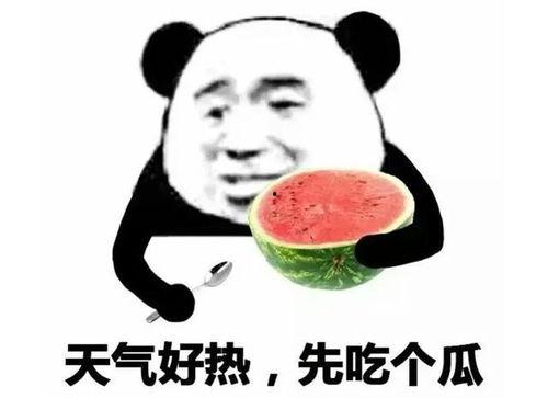 吃瓜表情包意思,吃瓜群众视角下的娱乐圈风云