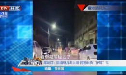 五常街道爆料视频最新,揭秘社区生活新动态