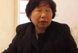 最新爆料许敏,揭秘背后惊人真相