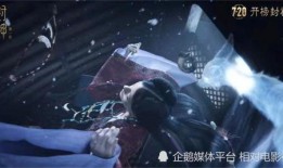 妲己的爆料视频在哪看啊,独家观看指南