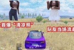 侠客红尘爆料视频,揭秘神秘爆料背后的江湖风云