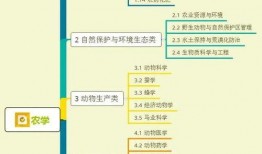柠檬大叔爆料视频大全集,揭秘娱乐圈幕后真相