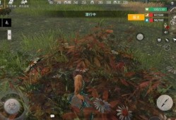 王牌战争官方爆料视频,全新内容与玩法大揭秘