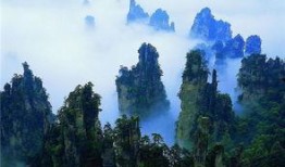 天涯爆料张家界新娘视频,张家界新娘婚礼现场视频引发热议