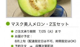 哈密瓜可以免费吃吗,免费品尝的甜蜜诱惑