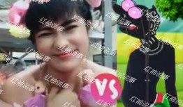 丹丹爆料花仙子视频,花仙子视频背后的神秘故事