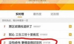 卓伟爆料小王子视频,小王子私密视频引发热议