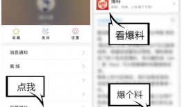 爆料的视频在哪里看啊,独家视频爆料观看指南，一探究竟！