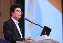 宋清辉最新爆料,揭秘行业内幕，深度剖析事件真相