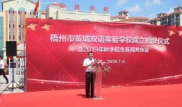 梧州爆料新闻最新,惊现神秘事件，真相令人震惊！