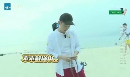 团山最新爆料新闻视频,揭秘神秘事件背后的惊人真相