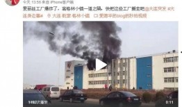 网友爆料园区视频,网友爆料视频曝光惊人内幕