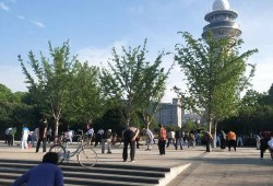 天津公园爆料视频大全集,探寻城市绿洲中的精彩瞬间
