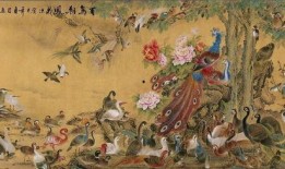 百鸟朝凤在线观看,探寻民间音乐的传承与辉煌