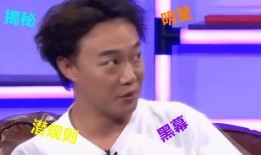 娱乐圈的各种爆料是什么,揭秘明星背后的故事与真相